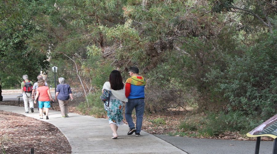 Half-Day Morning Perth & Fremantle City Explorer - Commentary from Peter, Matt, and Chris