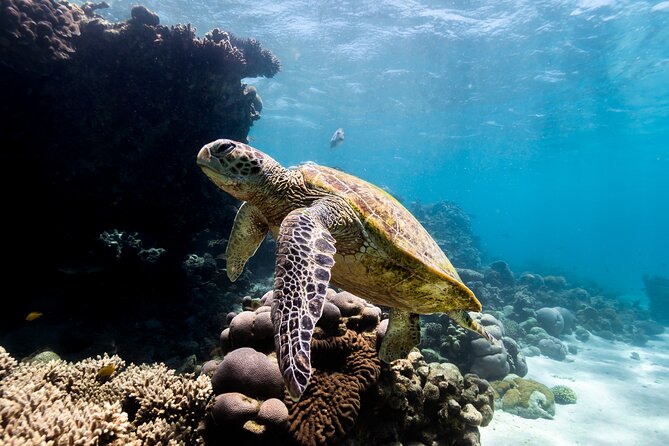 Half Day Sailing and Snorkeling Tour from Coral Bay - What the 10:00 am start looks like