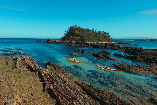 Half Day Sea Kayak Tour from Batemans Bay with Morning Tea - Key points to know before you paddle