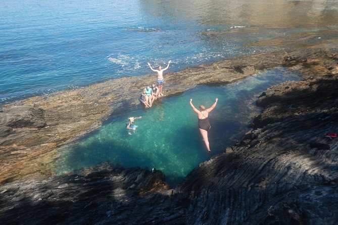 Half Day Sea Kayak Tour from Batemans Bay with Morning Tea - Wildlife, coastal knowledge, and the guides role