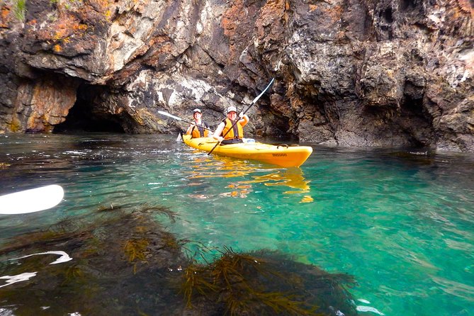 Half Day Sea Kayak Tour from Batemans Bay with Morning Tea - Fitness, clothing, and practical preparation