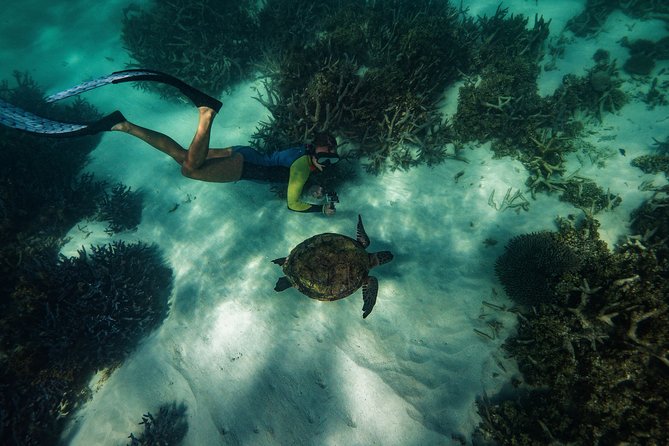 Half Day Snorkel 2.5hr Turtle Tour on the Ningaloo Reef, Exmouth - Setting out from Exmouth for Ningaloo Reef