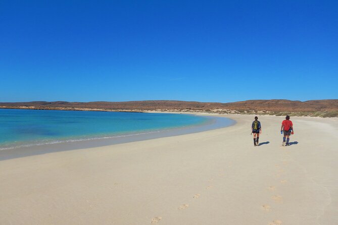 Half Day Snorkel 2.5hr Turtle Tour on the Ningaloo Reef, Exmouth - Water time, equipment, and the wetsuit question