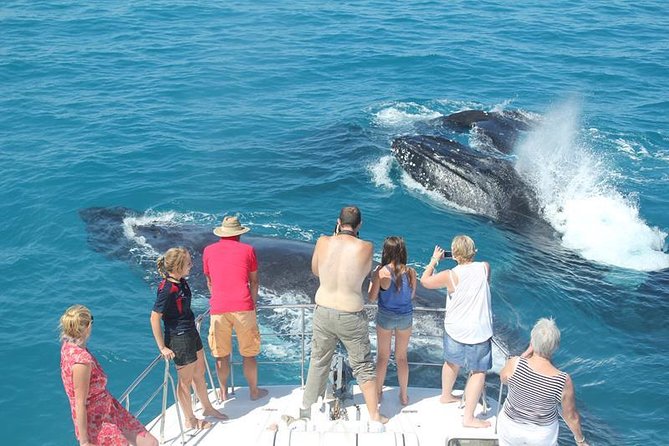 Half-Day Whale Watching Sunset Cruise from Broome - Ballena, a boat built for viewing
