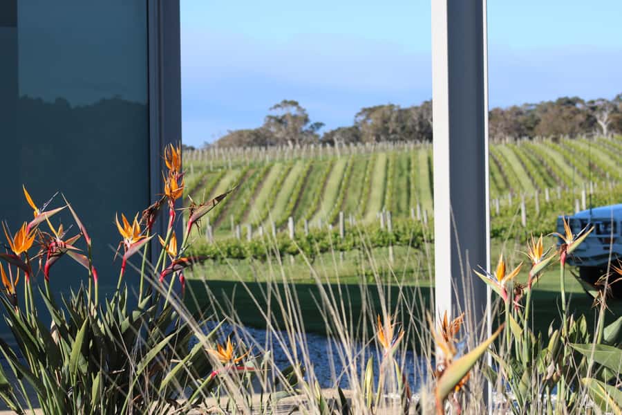 Half day Wine and Sights Discovery Tour Busselton - A four-hour introduction to the Margaret River Region