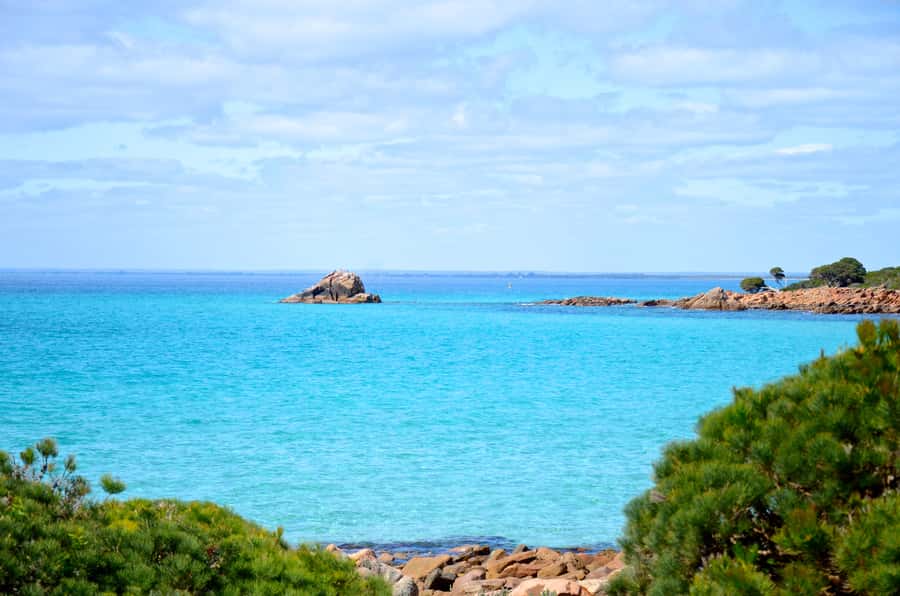 Half day Wine and Sights Discovery Tour Busselton - Stories from guides who grew up nearby