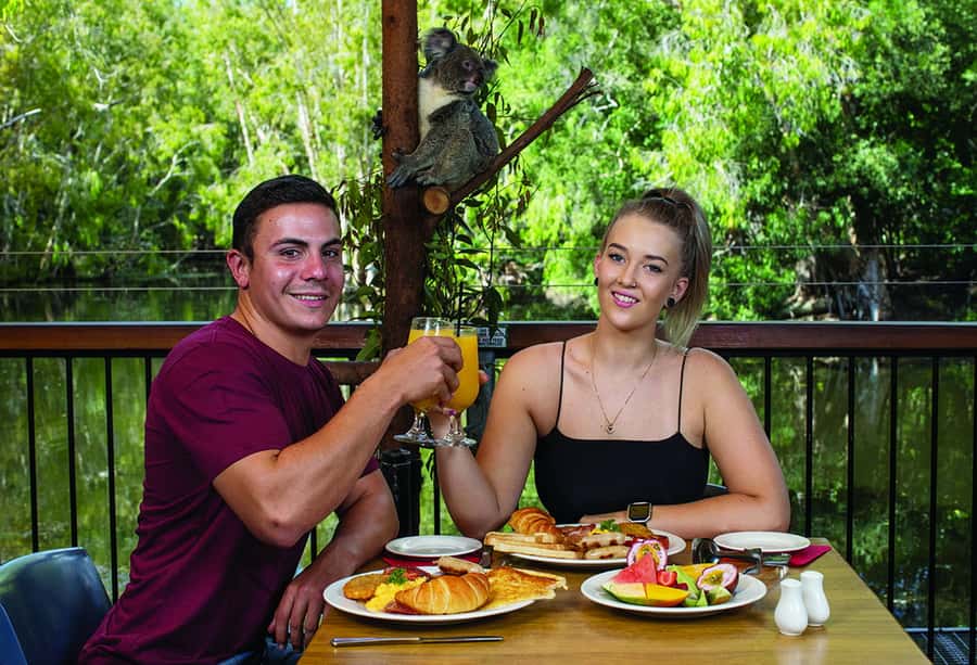 Hartley's Crocodile Adventures: Hartley's Koala Breakfast - Breakfast beside Hartley’s lagoon