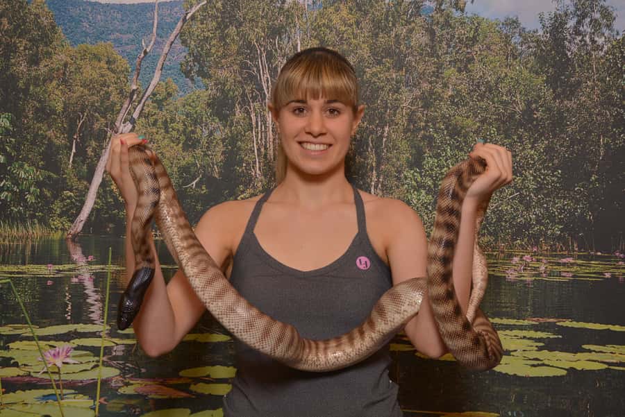 Hartley's Crocodile Adventures Park Entry - Why Hartley’s is worth the drive from Cairns