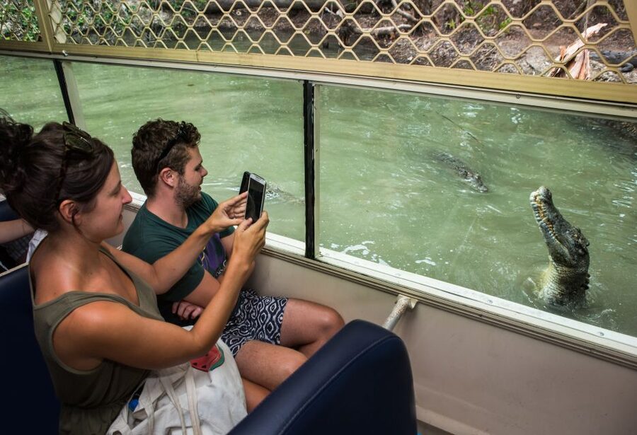 Hartley's Crocodile Adventures Park Entry - Learn practical facts at the snake presentation