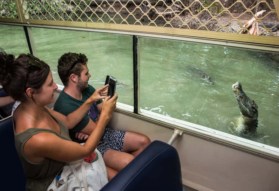 Hartley's Crocodile Adventures Park Entry - Is the $33 admission good value?