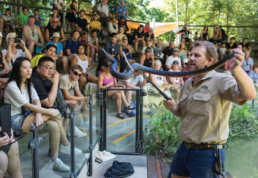 Hartley's Crocodile Adventures Park Entry - Access, timing, and what to bring
