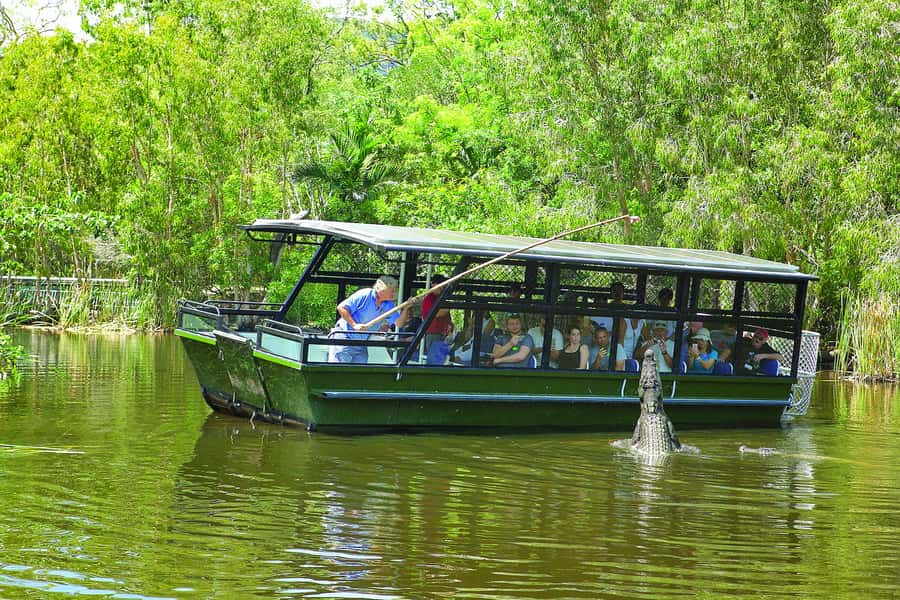 Hartley's Crocodile Adventures Park Entry - Start with the timed lagoon cruise