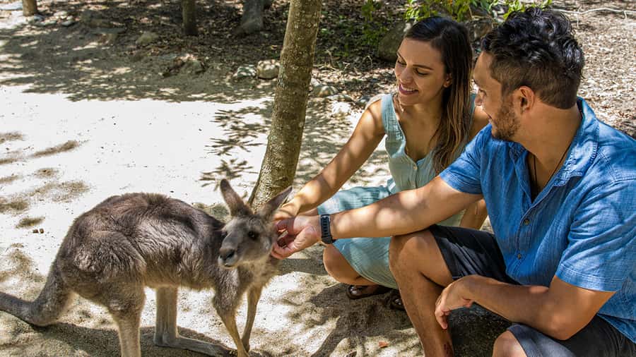 Hartley's Crocodile Adventures: Zootastic 5 + Entry Ticket - Key points to know before you book