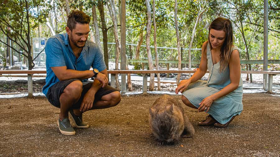 Hartley's Crocodile Adventures: Zootastic 5 + Entry Ticket - Feeding a cassowary is a very different animal encounter