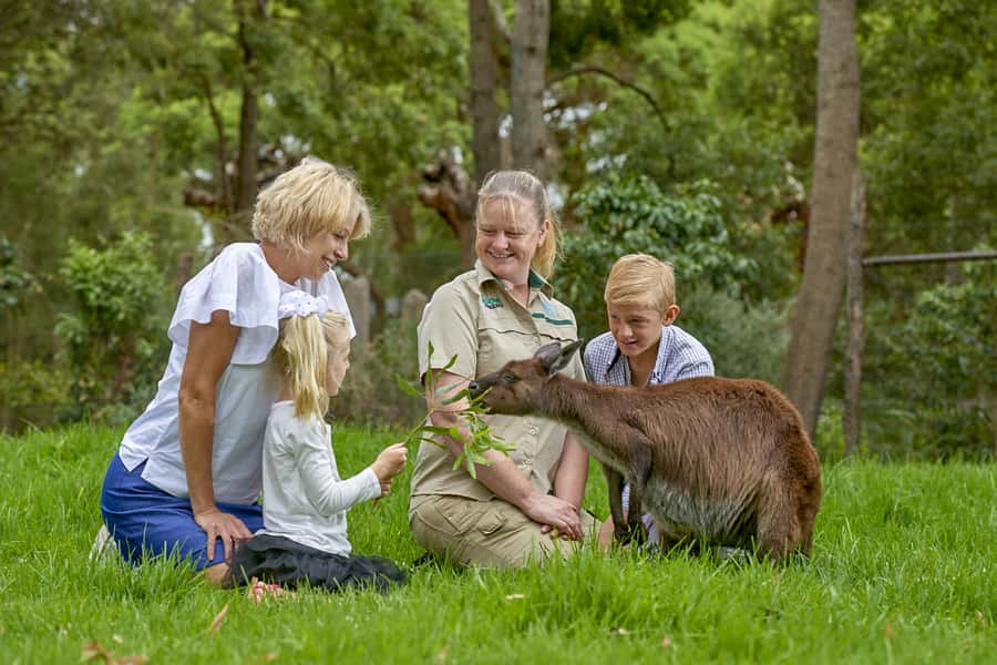 Healesville Sanctuary: General Admission Ticket - Key points to know before you go