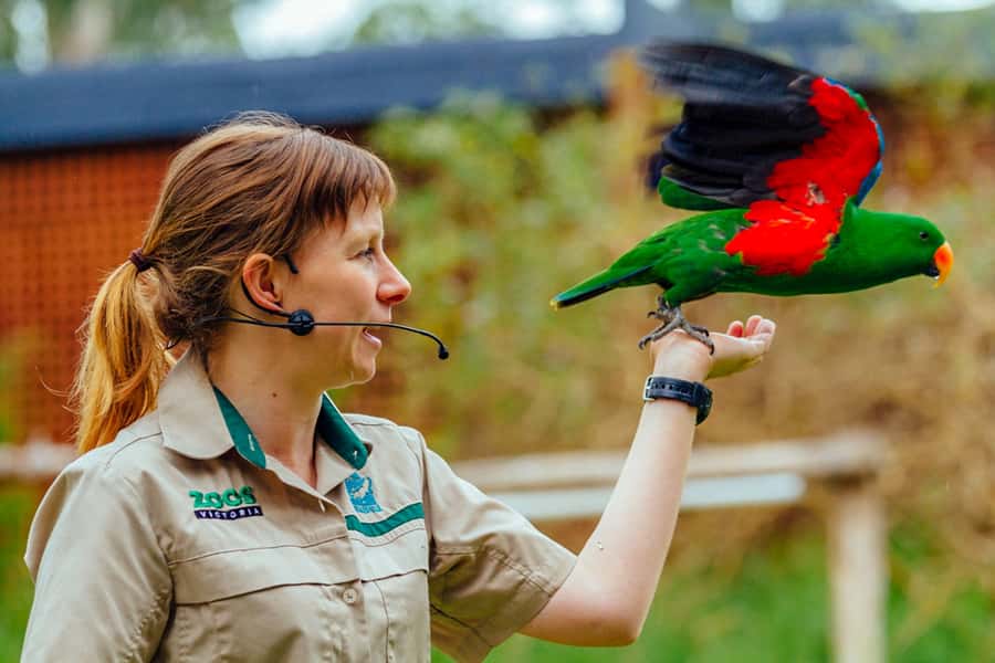 Healesville Sanctuary: General Admission Ticket - Getting there from Melbourne or Lilydale