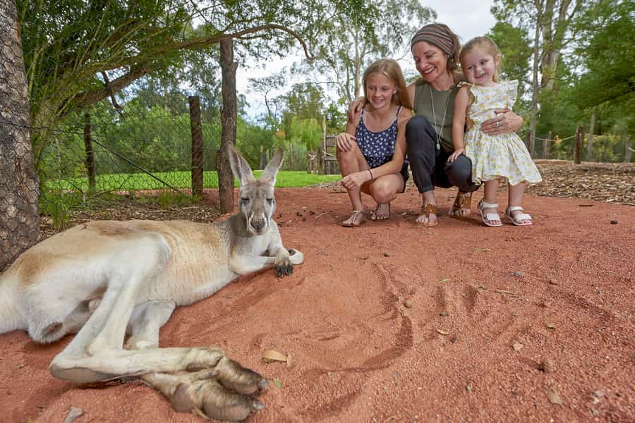 Healesville Sanctuary: General Admission Ticket - Why Healesville Sanctuary feels different from a standard zoo