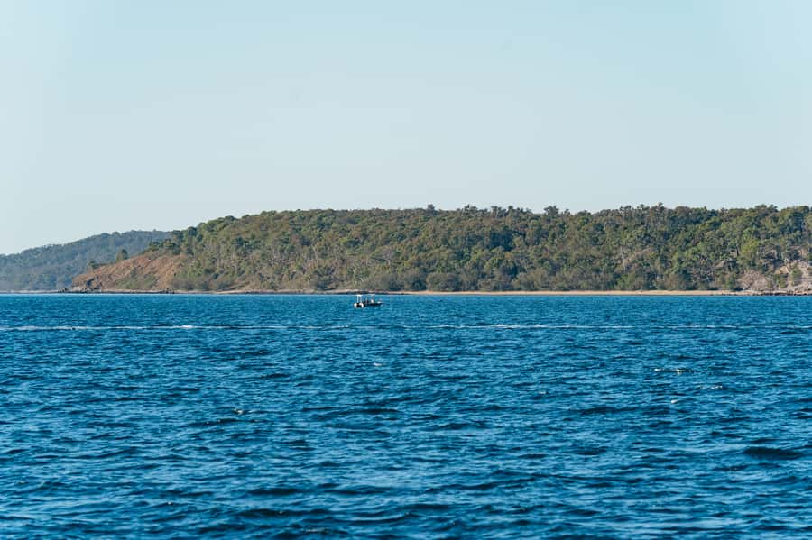 Hervey Bay: Exclusive Whale Watch Encounter - Who will enjoy this whale watch most