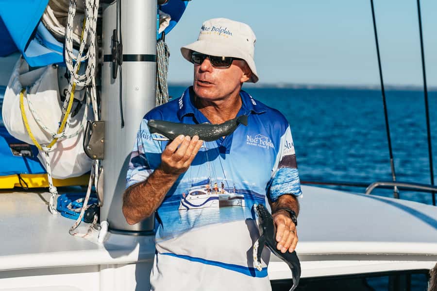 Hervey Bay: Exclusive Whale Watch Encounter - The small-group advantage at 24 passengers
