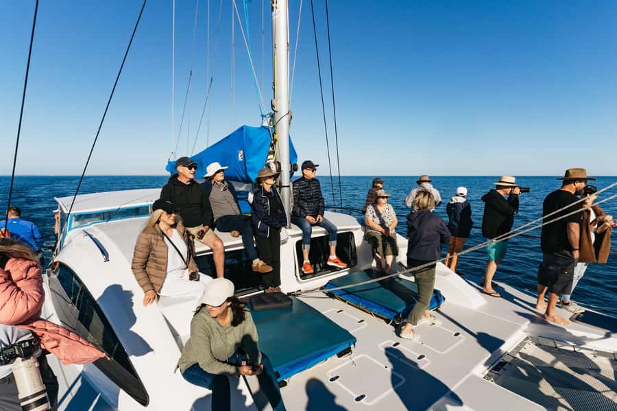 Hervey Bay: Exclusive Whale Watch Encounter - What the full nine-hour day feels like