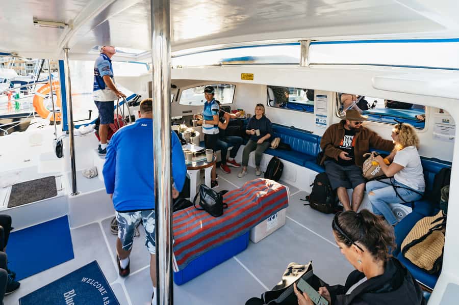 Hervey Bay: Exclusive Whale Watch Encounter - How much value you get for $138