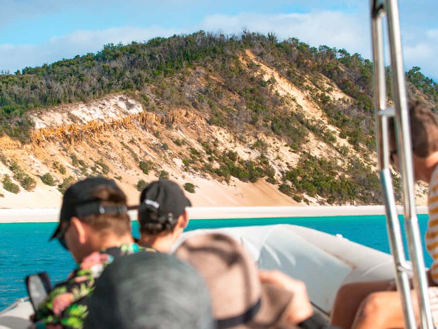 Hervey Bay: Half-Day Whale and Island Adventure by Boat - Key points to know before booking