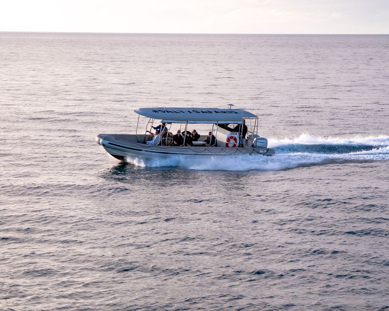 Hervey Bay: Half-Day Whale and Island Adventure by Boat - The possibility of swimming with whales