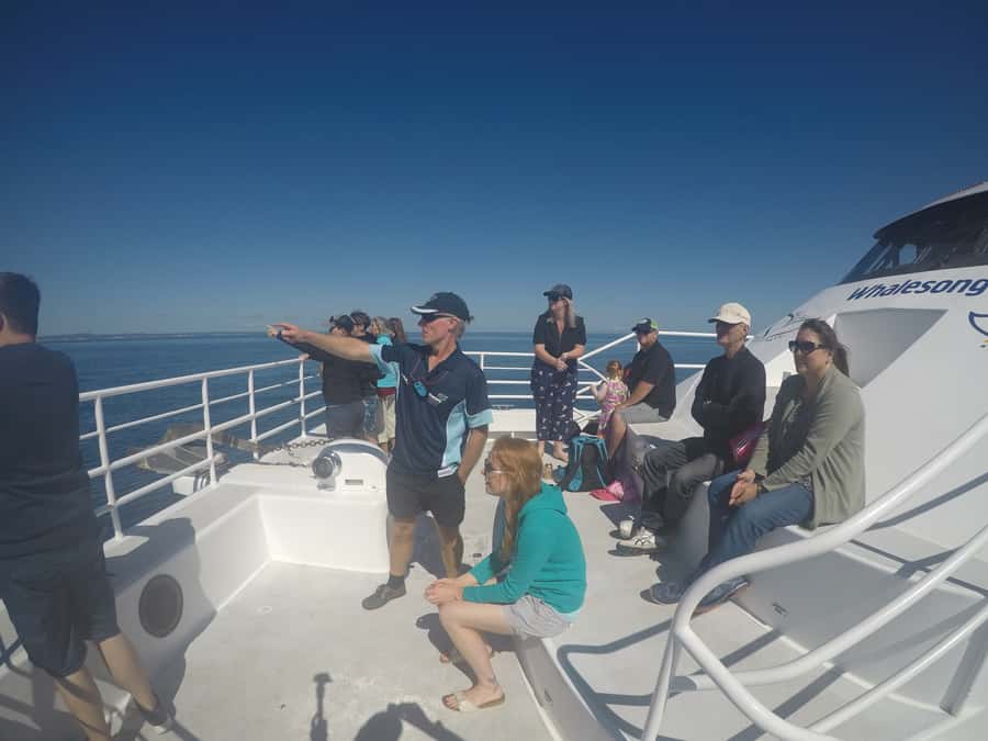 Hervey Bay: Half-Day Whale Watching Cruise with Meal - Listening to whale song beneath the boat