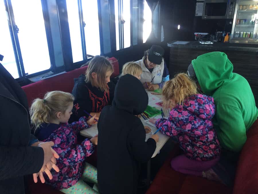 Hervey Bay: Half-Day Whale Watching Cruise with Meal - A proper meal on a half-day cruise
