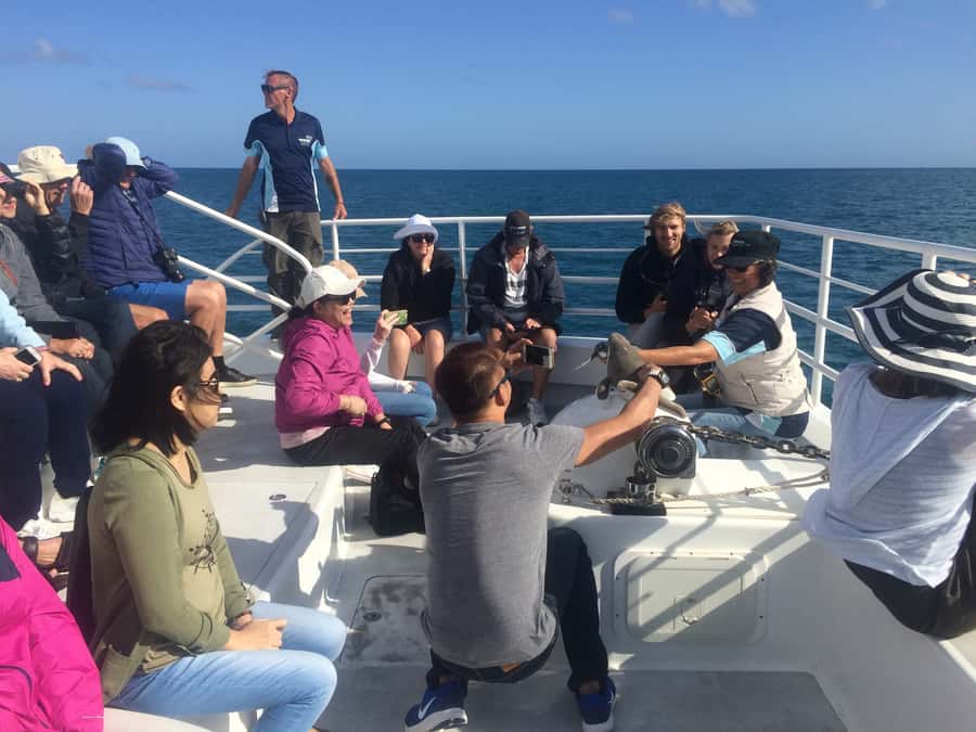 Hervey Bay: Half-Day Whale Watching Cruise with Meal - Setting out from Great Sandy Straits Marina