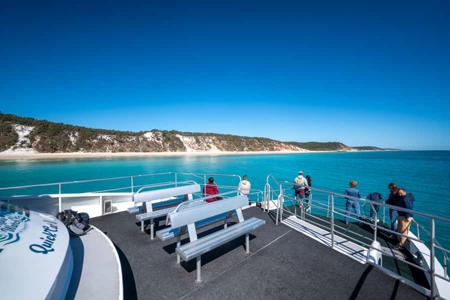 Hervey Bay: Humpback Whale-Watching Half-Day Cruise - The optional chance to swim with whales
