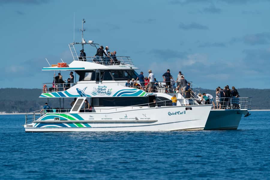 Hervey Bay: Humpback Whale-Watching Half-Day Cruise - Boarding Quick Cat II at Hervey Bay