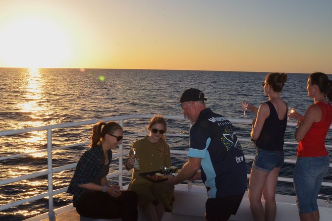 Hervey Bay Sunset Cruise - Dolphins and turtles are a welcome bonus