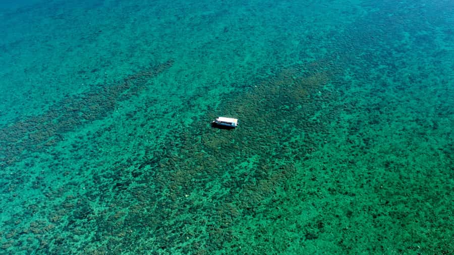 Hervey Bay: Turtle Discovery Eco Tour - Cruising the Great Sandy Strait from Urangan
