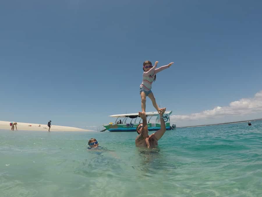 Hervey Bay: Turtle Discovery Eco Tour - Who should book this Hervey Bay eco-tour?