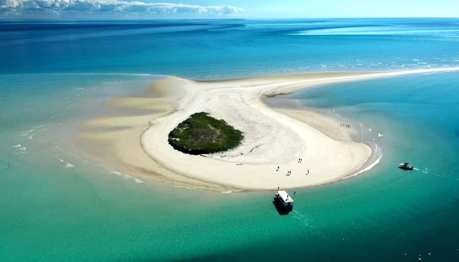 Hervey Bay: Turtle Discovery Eco Tour - Wildlife watching without a guarantee