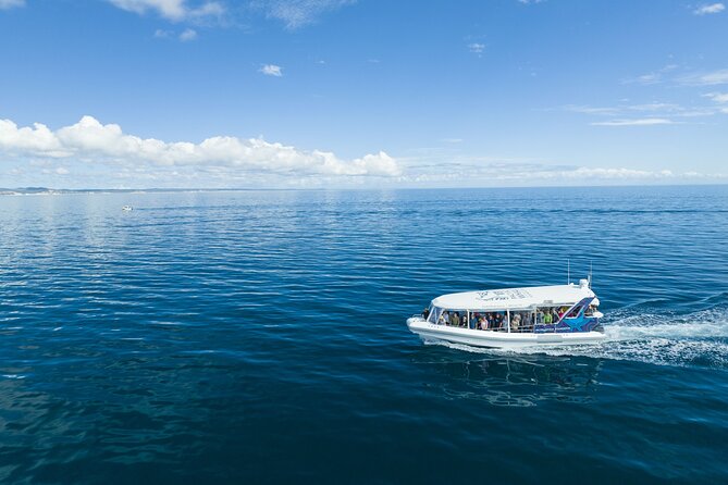 Hervey Bay Ultimate Whale Watching Cruise - Why Hervey Bay is a strong place for whale watching