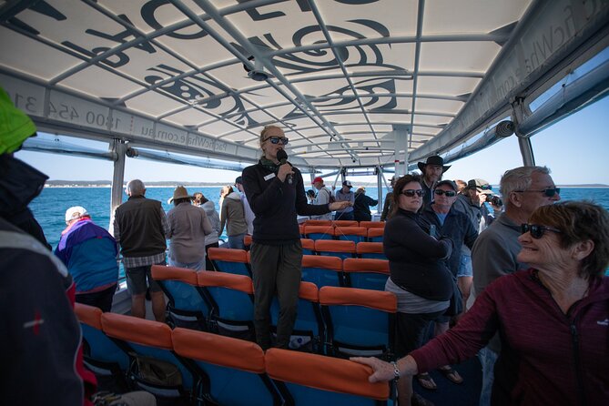 Hervey Bay Ultimate Whale Watching Cruise - What happens during the three-hour search