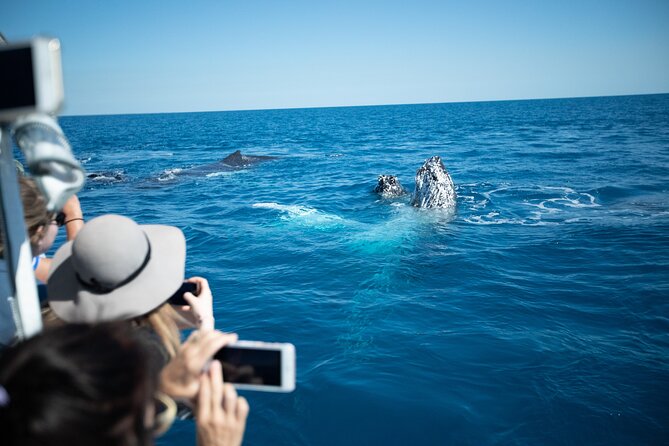 Hervey Bay Ultimate Whale Watching Cruise - Hearing whales through the underwater hydrophone