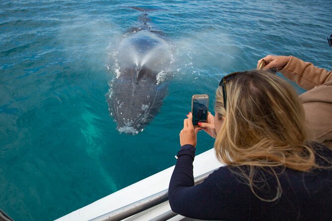 Hervey Bay Ultimate Whale Watching Cruise - What is included for families