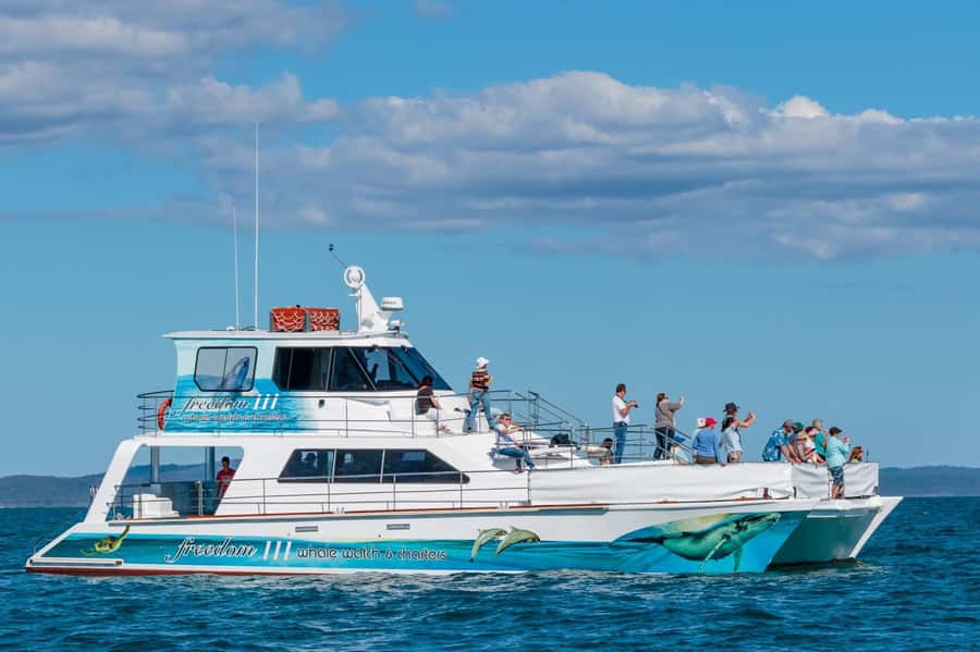 Hervey Bay Whale Odyssey Cruise - Key points at a glance