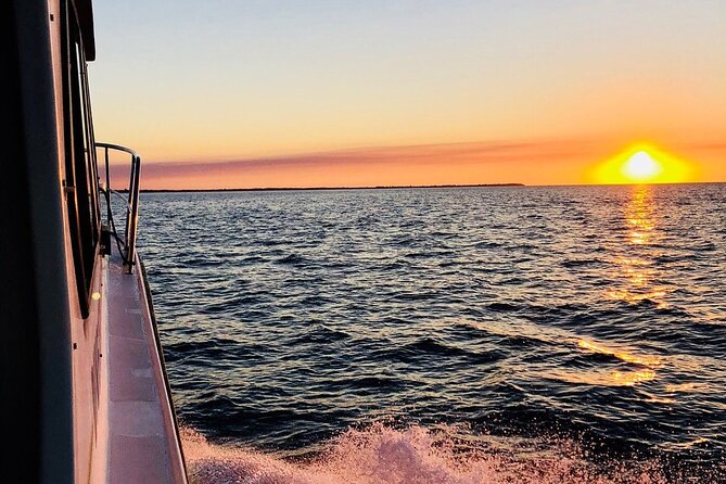 Hervey Bay Whale Swim and Watch - Group size, safety, and physical demands