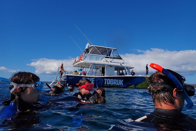 Hervey Bay Whale Swim and Watch - What happens when visibility is poor