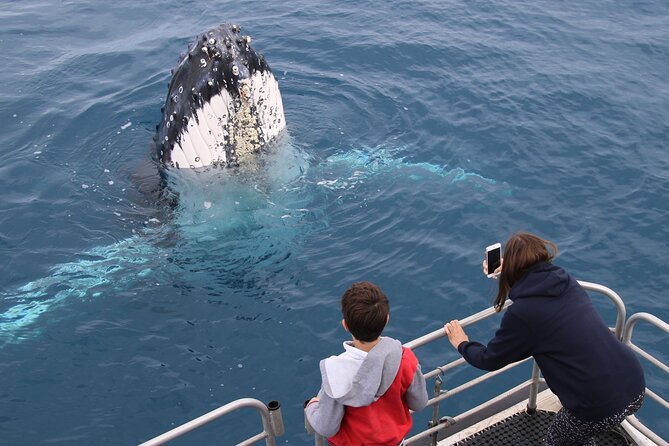 Hervey Bay Whale Watching Cruise - Why the crew matters