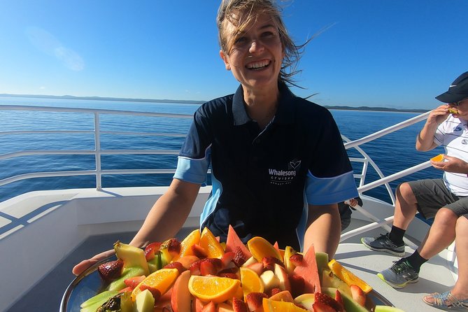 Hervey Bay Whale Watching Experience - Why Hervey Bay Is Such a Good Whale-Watching Base