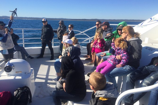 Hervey Bay Whale Watching Experience - Weather, Rough Water, and the No-Whale Guarantee
