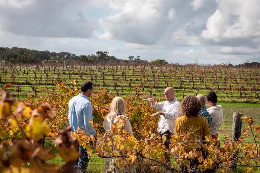 Hidden Gems Margaret River: Authentic Wine & Farm Experience - Why this Margaret River tour feels different