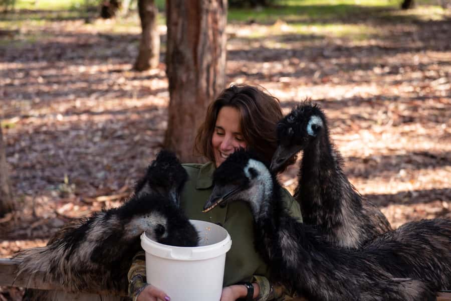 Hidden Gems Margaret River: Authentic Wine & Farm Experience - What $145 covers, and where the value sits