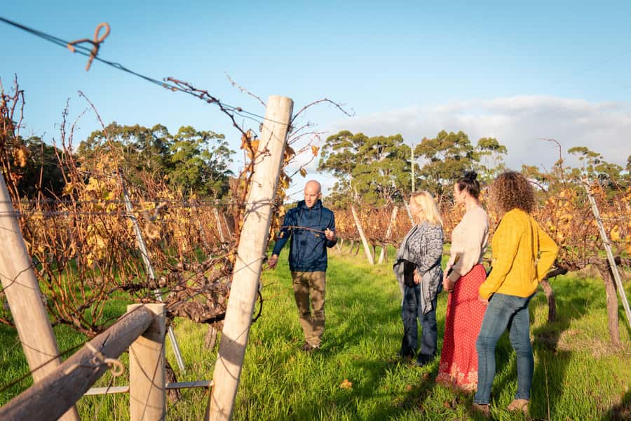 Hidden Gems Margaret River: Authentic Wine & Farm Experience - Who will enjoy this full-day outing