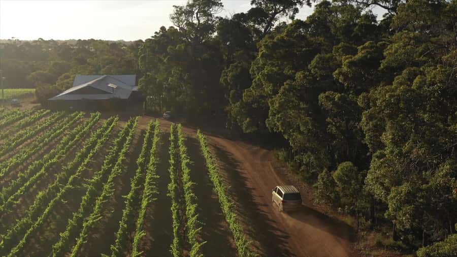 Hidden Gems Margaret River: Authentic Wine & Farm Experience - Should you book the Margaret River Hidden Gems tour?